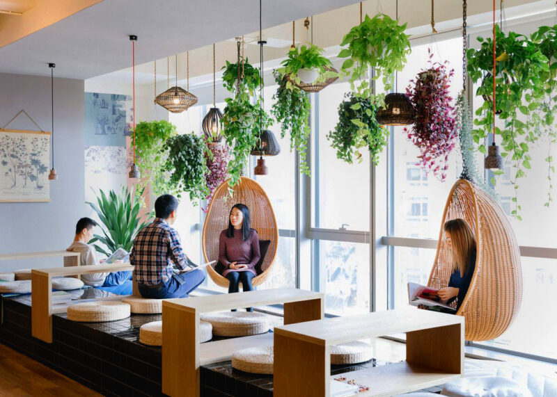 five of the prettiest green offices wework beijing article on thursd 800x571