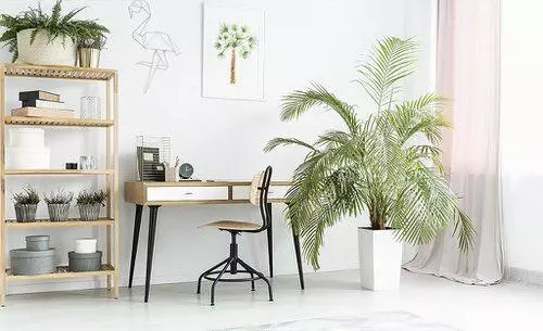 Decorate with plants