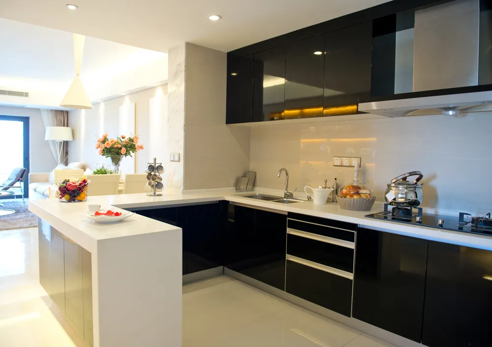 Mono chrome kitchen