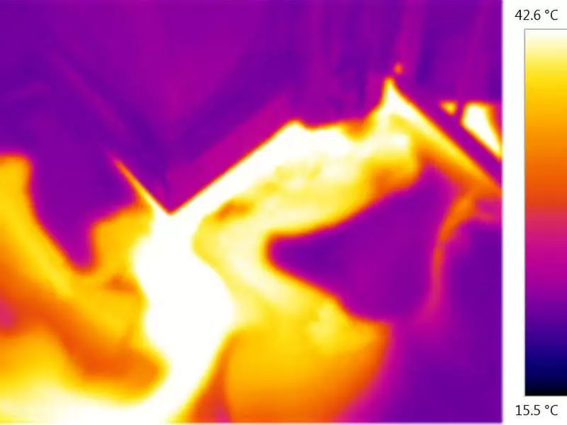 Reveals Water Leakage Seepage Issues
