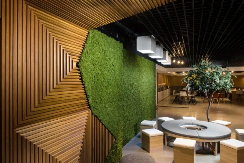 biophilic commercial design bio